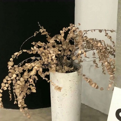 润州福瑞交流群